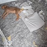 Imagen del cliente, haz clic para abrir la reseña del cliente