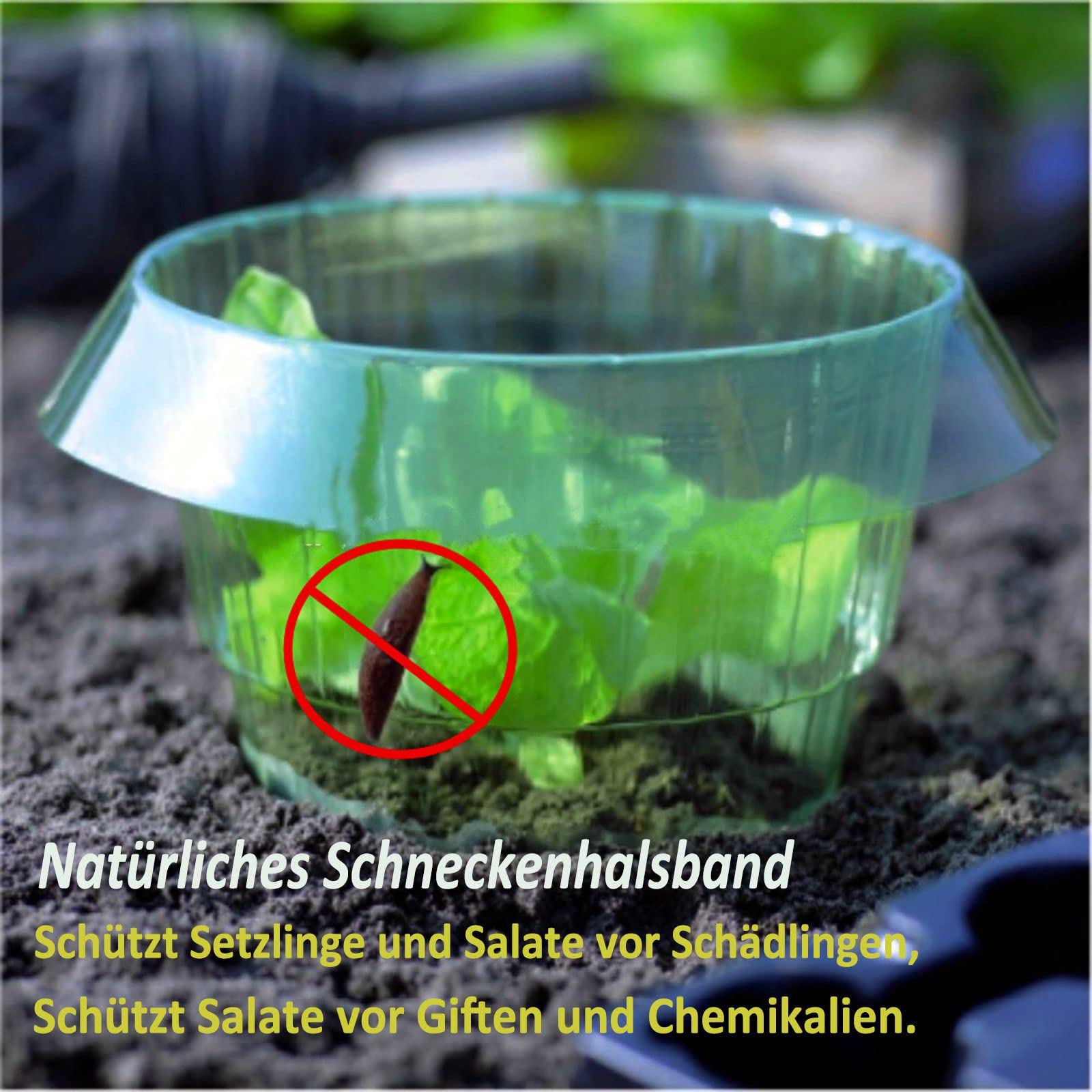 Collare Anti-lumache, Protezione Anti-lumache, Granuli Anti-lumache, Protegge le Piante Senza Agenti Chimici (12 PZ)