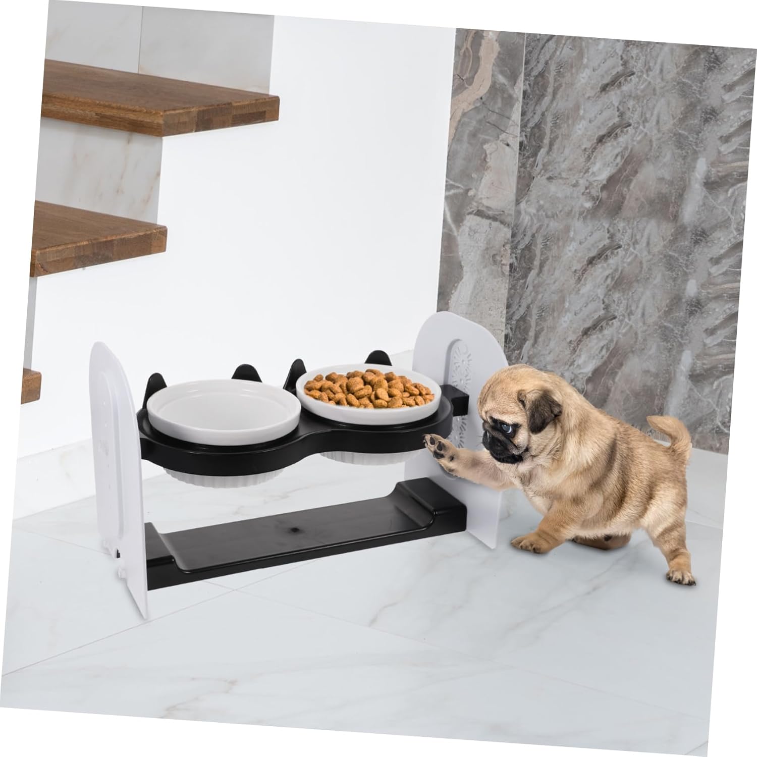 1set Ceramic Cat Feeding Bowl Height and Angled Design Double Cat Food Bowls Easy to Pet Feeding Accessory Stand