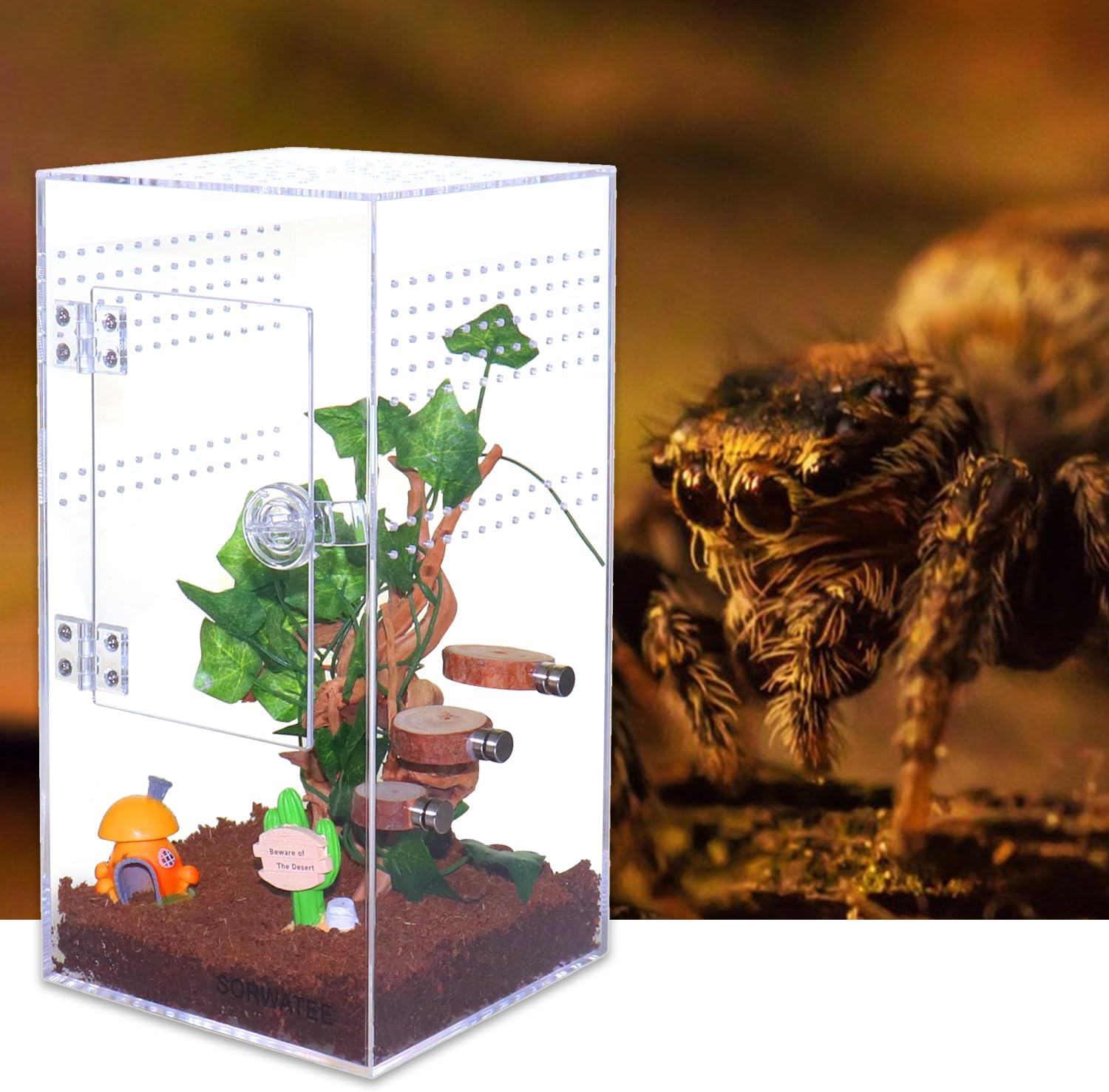 Jumping Spider Enclosure Acrylic Jumping Spider Terrarium with Front Opening Door, Micro Habitat Terrarium for Small Tree Dwelling Reptiles, Arboreal Tarantula Enclosure (6X6X12 Inches)