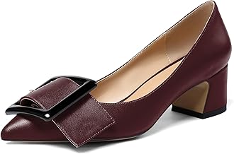 Eldof Pointed Toe Pumps,Classy 2 Inches Block Heel Chic Pumps, Confort Buckle Heel for Office Wedding Dress