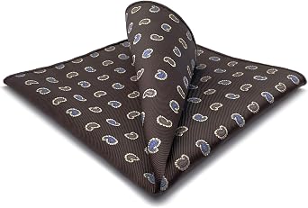 S&W SHLAX&WING Pocket Squares for Men Blue Brown Paisley for Business XL Woven