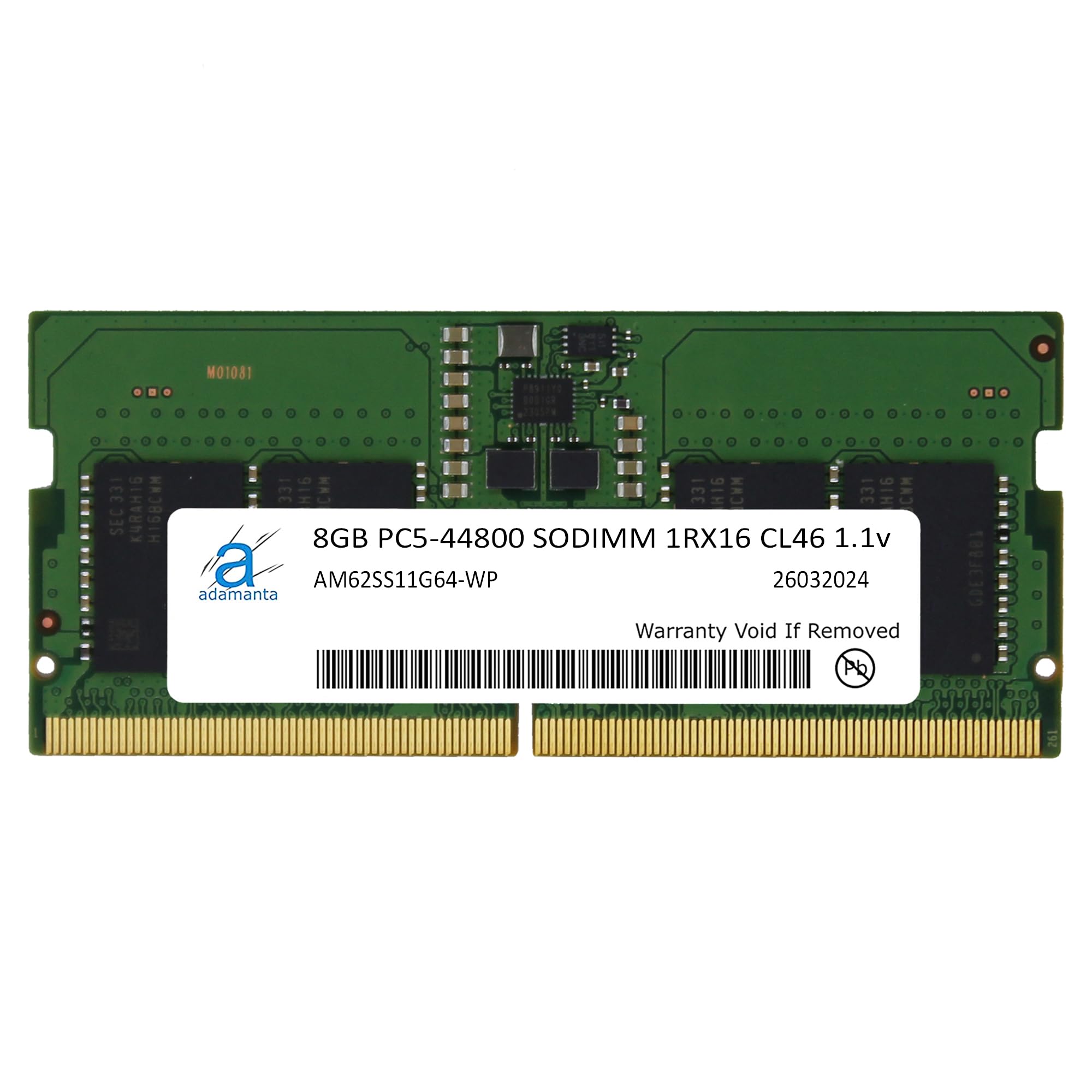 【L】XG Mesh Shorts -Do or Die- パンツ　ショーツ Adamanta 8GB (1x8GB) Laptop Memory Upgrade for Acer Predator 17 G9