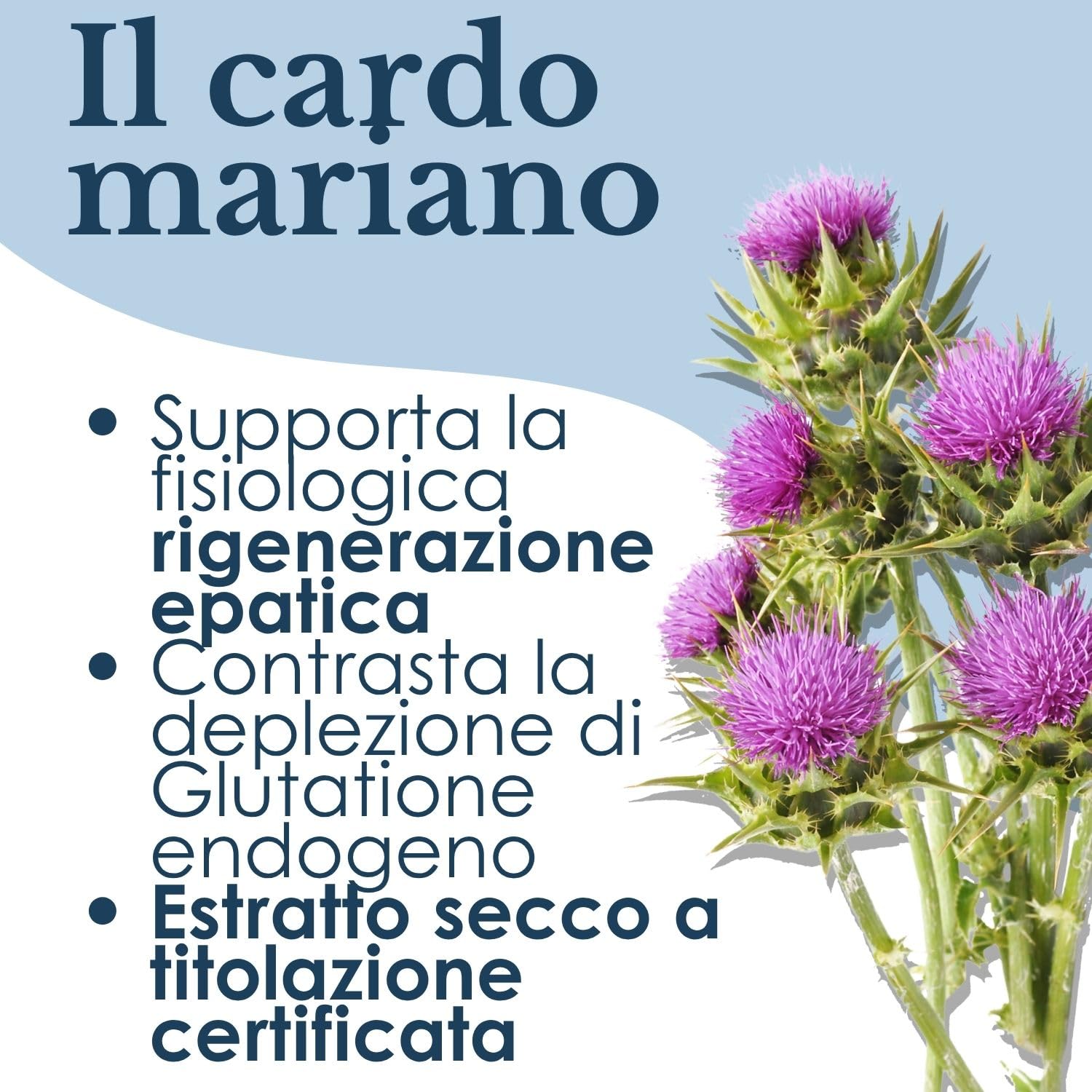 ERBEX - Depurex | Cardo Mariano Tarassaco Carciofo e Glutatione | Integratore Liquido Depurativo Fegato e Drenaggio | 300 ml