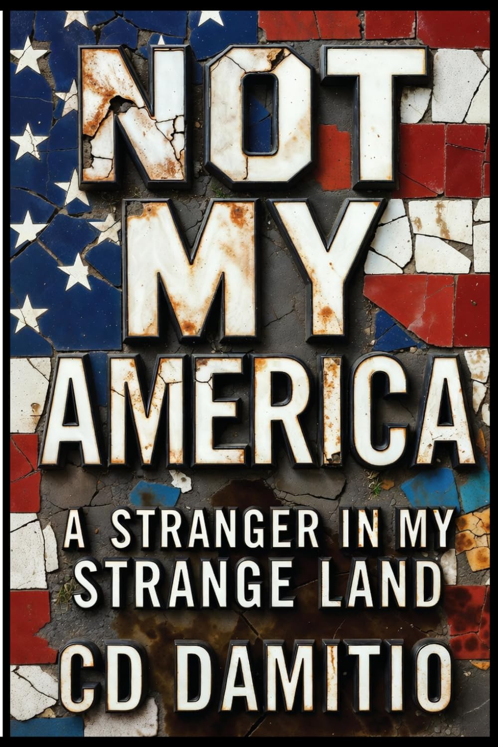 Not My America: A Stranger in My Strange Land
