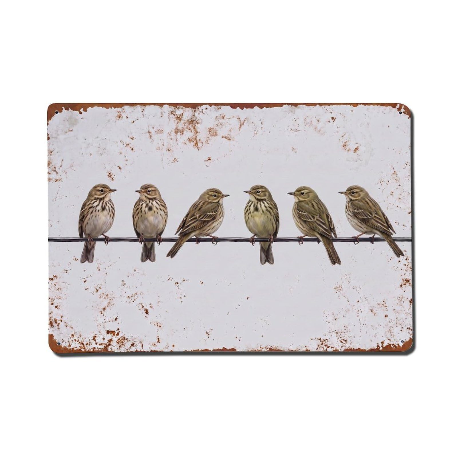 Vintage Retro Birds Meadow Pipit Metal Tin Sign