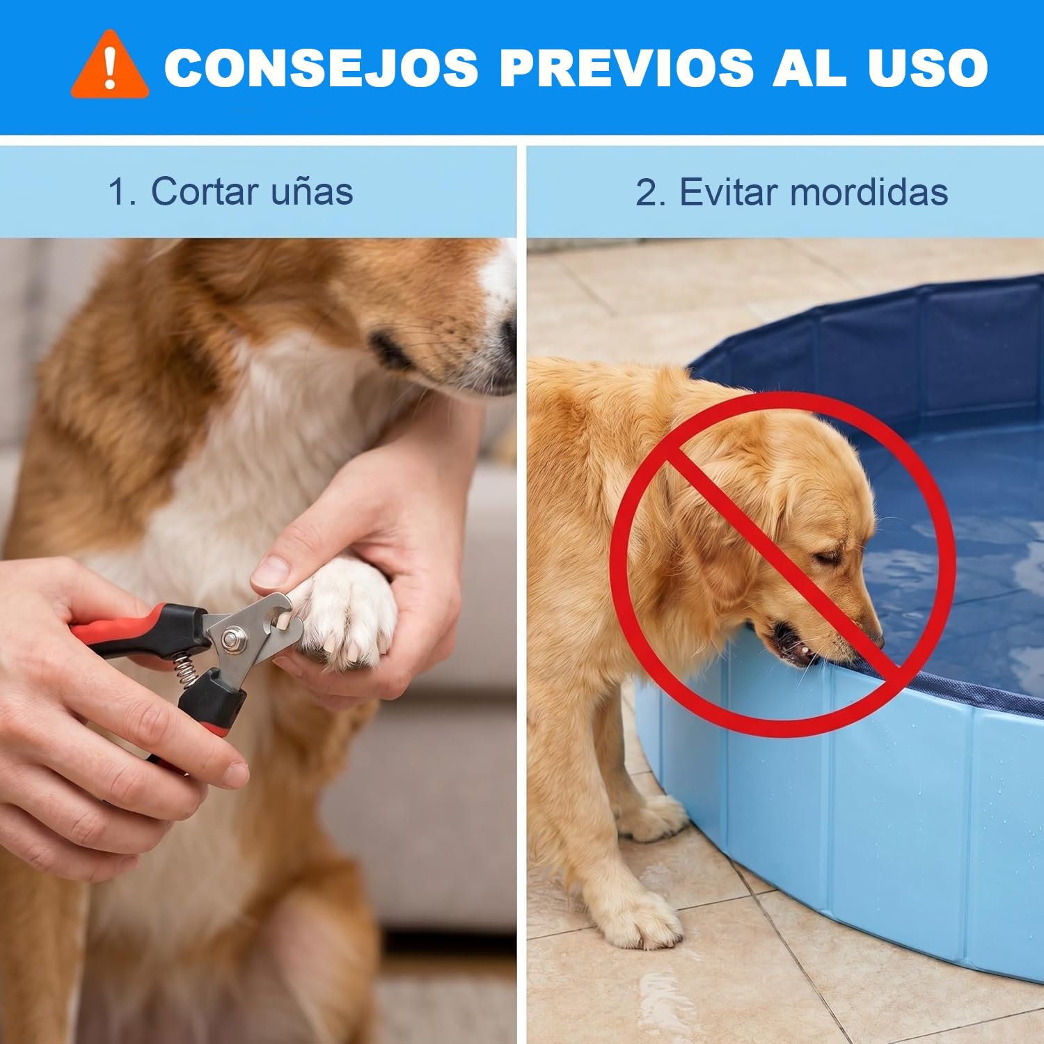 Piscina Plegable para Perros 78 x 20 cm, Base Antideslizante, Vaciado rápido, bañera para Perros, Piscina de PVC Reforzado