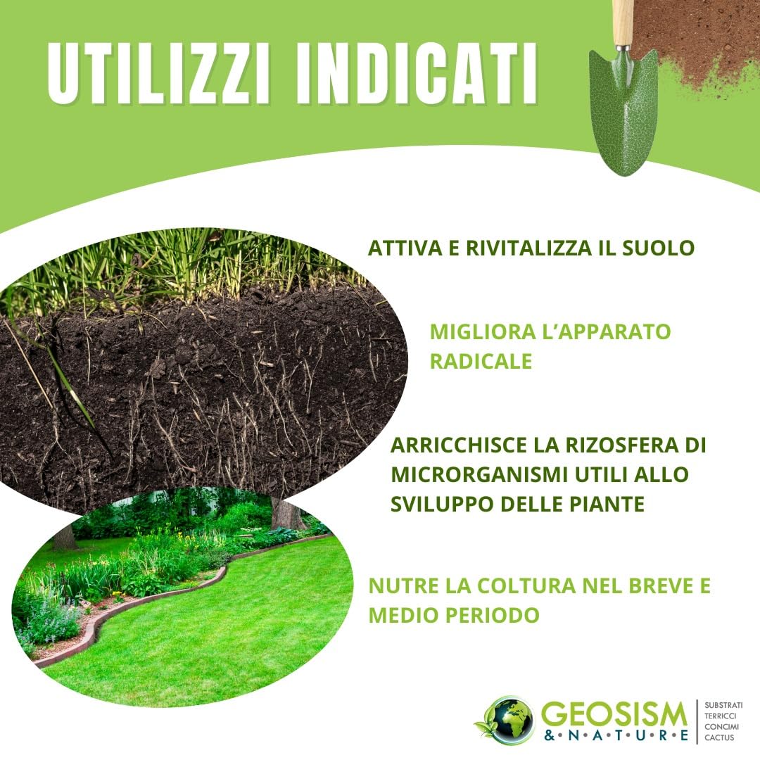 Geomicor Tricoder Solid, (1 kg), inoculo granulare di funghi micorrizici con trichoderma per ortaggi, fiori e piante