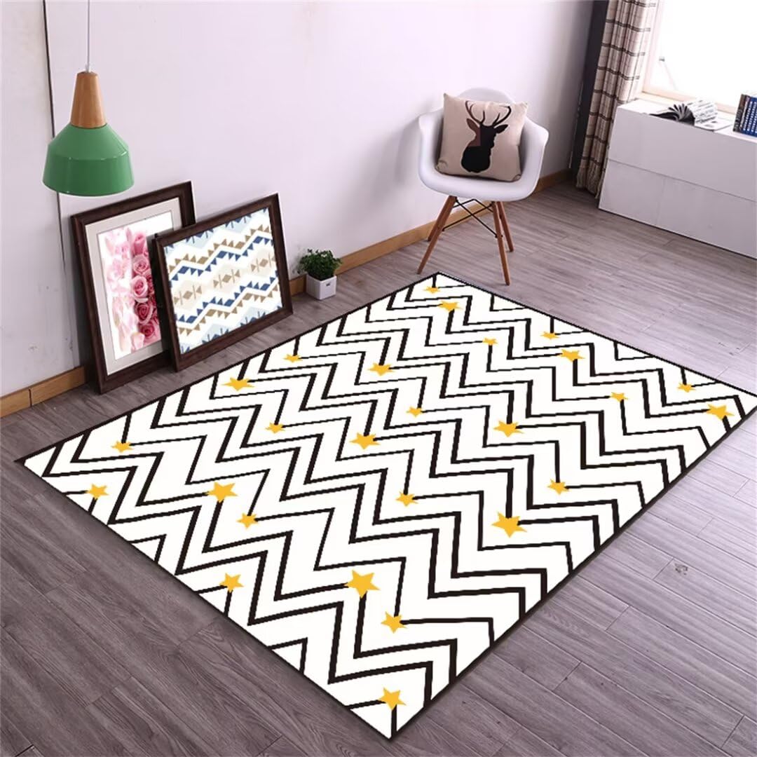 Tapis lavable en machine idéal pour nettoyer facilement le salon