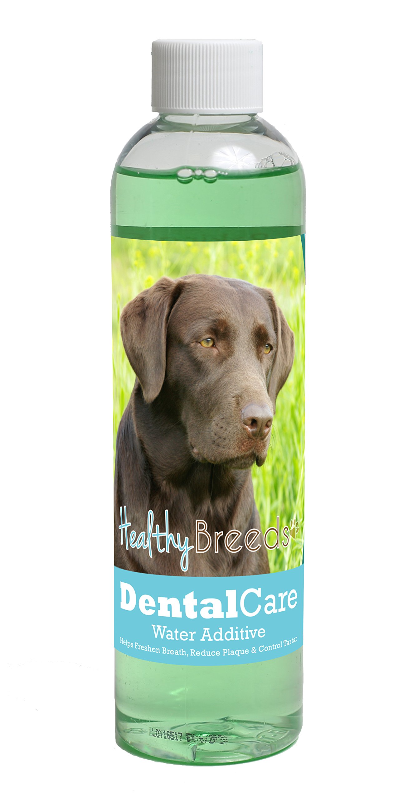 Healthy Breeds Dog Dental Care Water Additive for Labrador Retriever - Helps Freshen Breath, Reduce Plaque &amp; Control Tartar - Mint Flavor - 8 oz