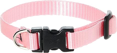 extra small dog collar