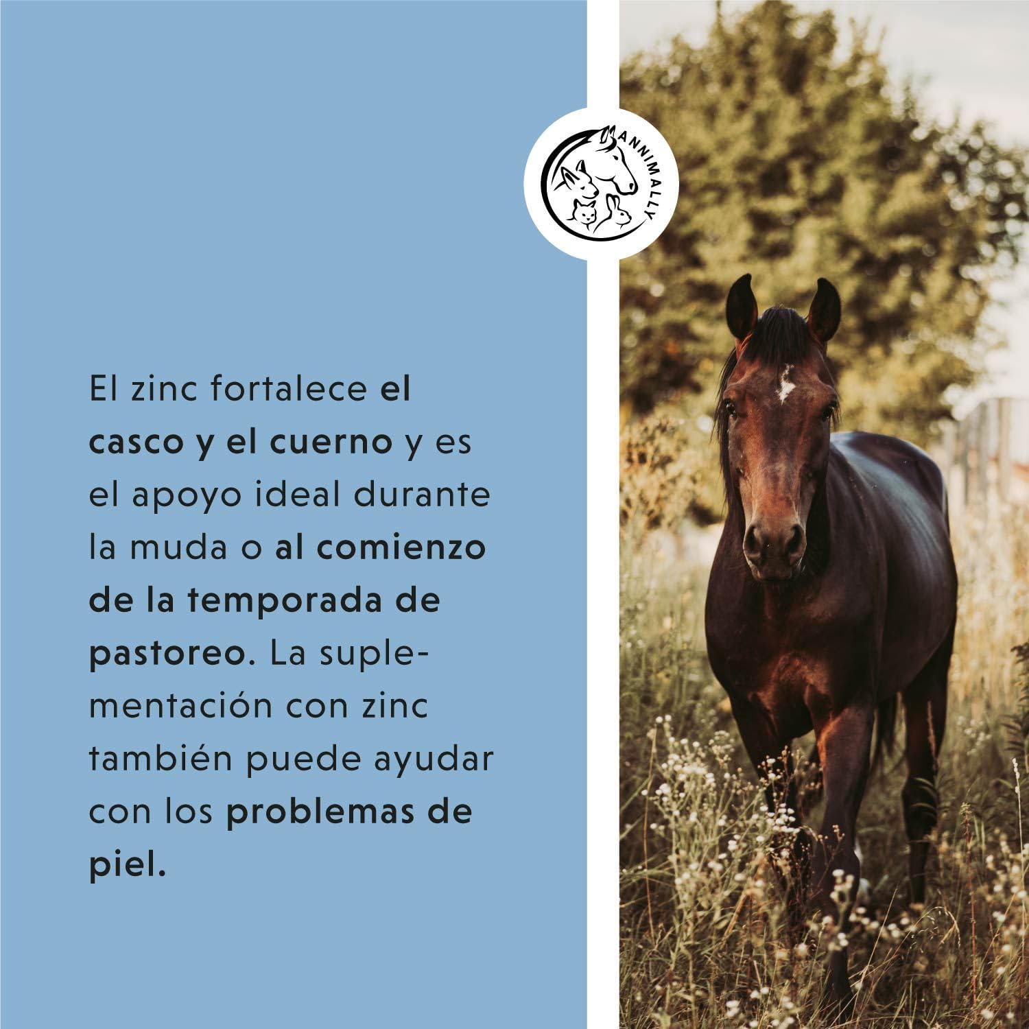 Annimally Zinc para Caballos - Pellets de Zinc (700 g) Altamente dosificados con comino Negro, zeolita, esparceta y levadura de Cerveza para la Piel, el Pelo y los Cascos