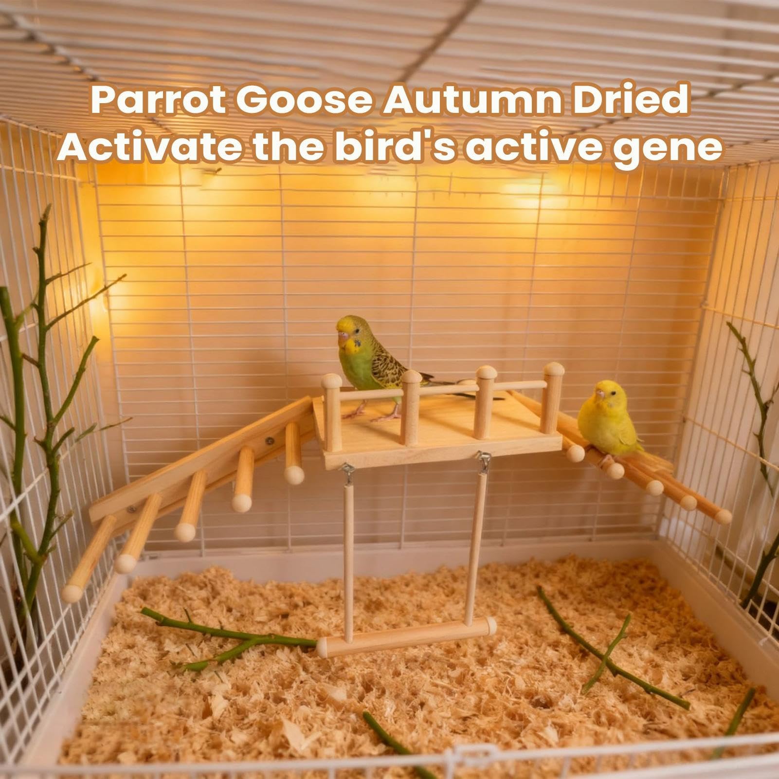 Perchoir De Cage À Oiseaux Rampe Balançoire D'Exercice | Perchoir Pour Calopsitte Pour Prévention De L'Ennui Et Stimulation Mentale Espace De Destiné Aux Perruches Calopsittes