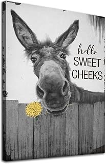 Funny Donkey Wall Art Canvas Farmhouse Bathroom Pictures for Black and White Print Hello Sweet Cheeks Animal Artwork Rustic Donksy Painting 16x24inch No Frame