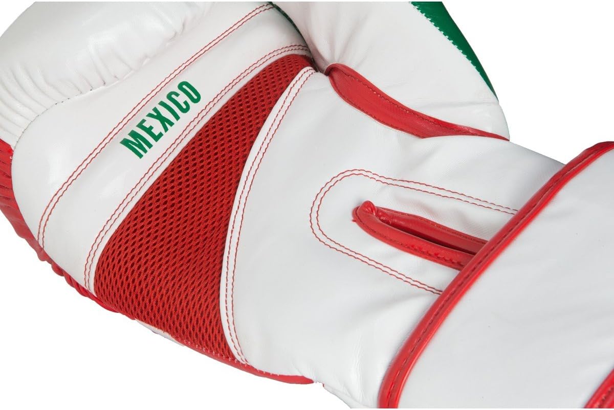 Title Infused Foam El Combate Mexico Training Gloves, Mexico, Large