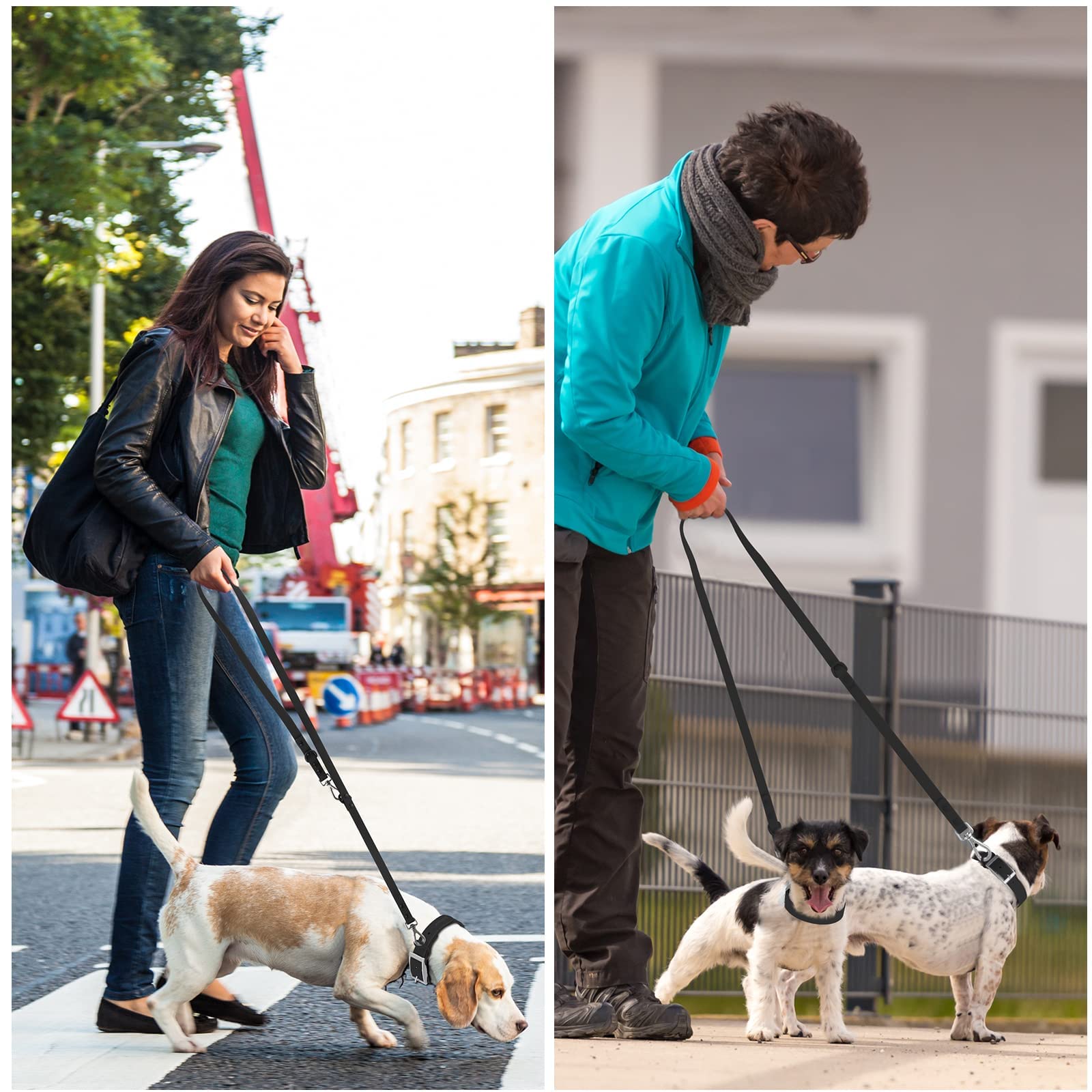 Wisedog Waterproof Dog Leash – 5ft/6ft Adjustable with 2 Metal Swivel Hooks, Easy to Clean Dog Leashes for Small, Medium, Large Breed Dogs (Black M) - image 4