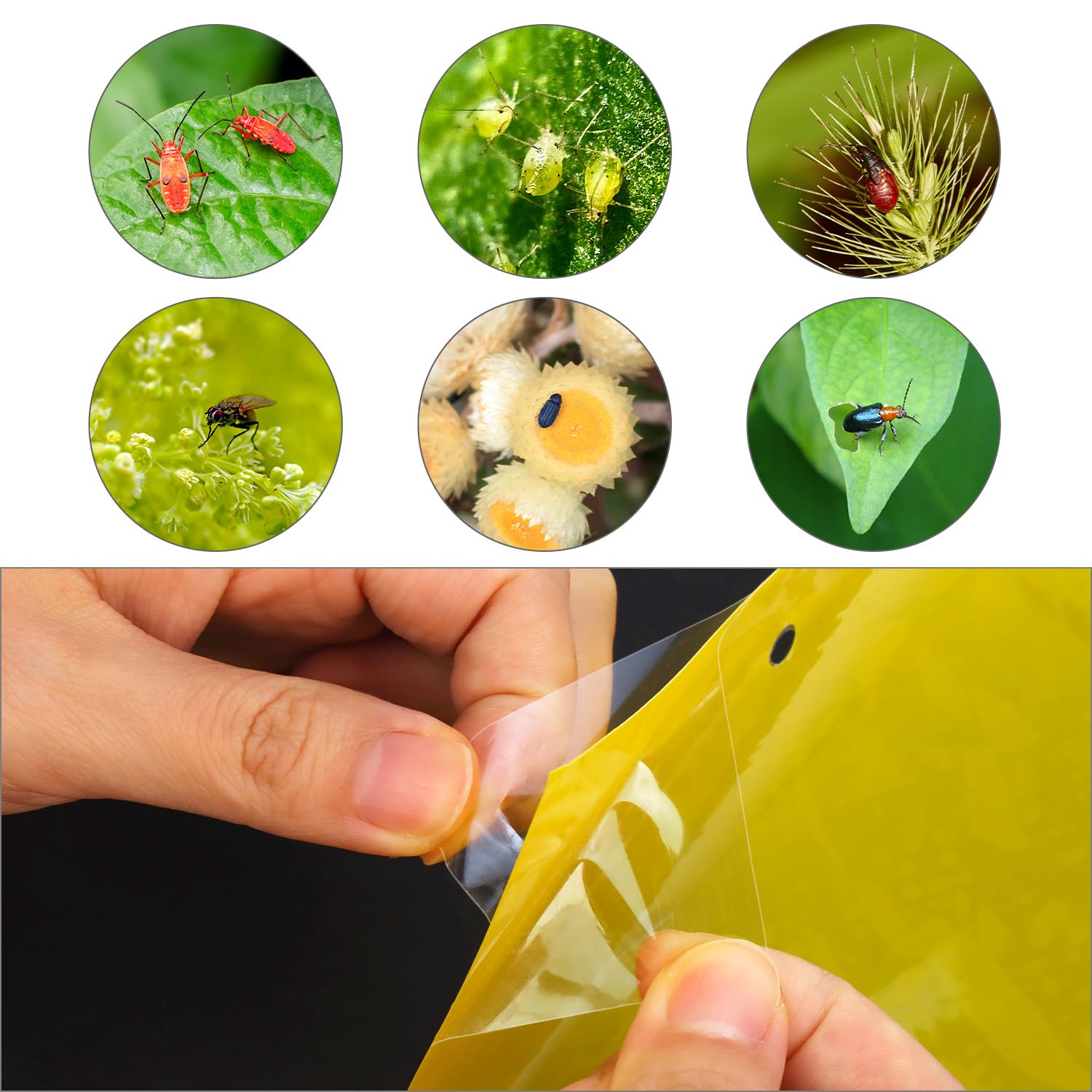 Trappole Adesive Per Insetti LEAVES – 30 Pezzi A Forma Di Foglia 3D, Bastoncini In Metallo, Decorative Per Piante Da Interno, Modern - 4
