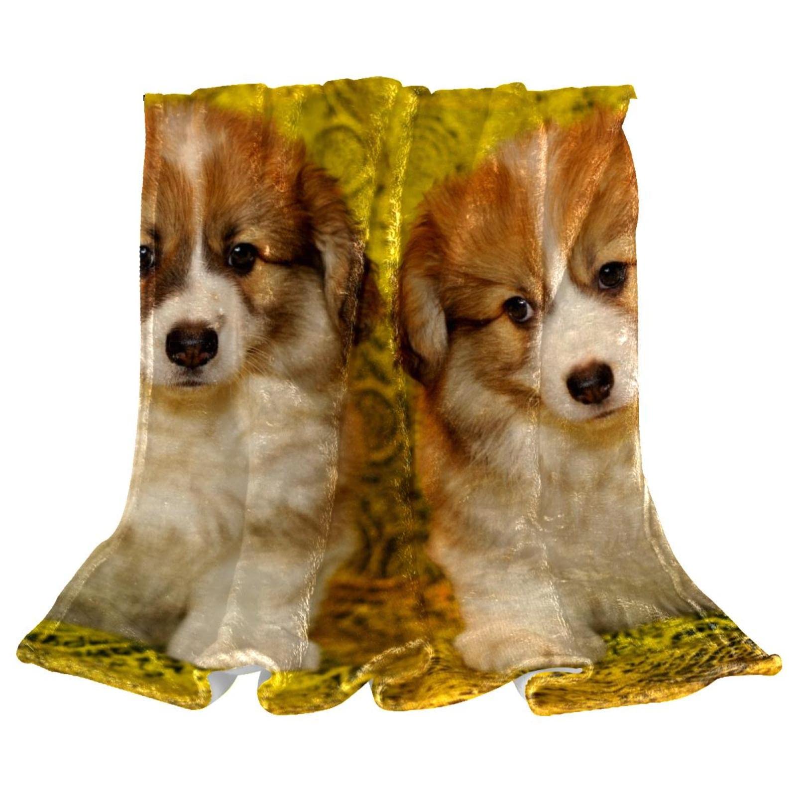 Manta de forro polar para sofá, ligera, peluda, cachorros, corgi galés, mascota, perro, dos
