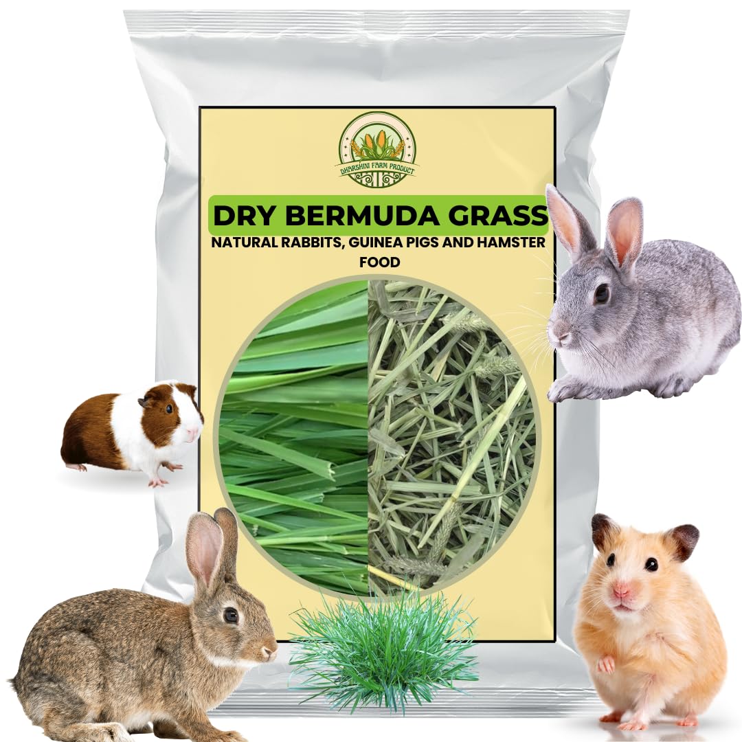 200 GRAM |Dry Grass PET Food | Sun Dried Hay for Rabbit, Hamsters, Lactating Guinea Pigs and White Mice | Suitable for All Life Stages (B0D91NG5MY) Amazon Price History, Amazon Price Tracker