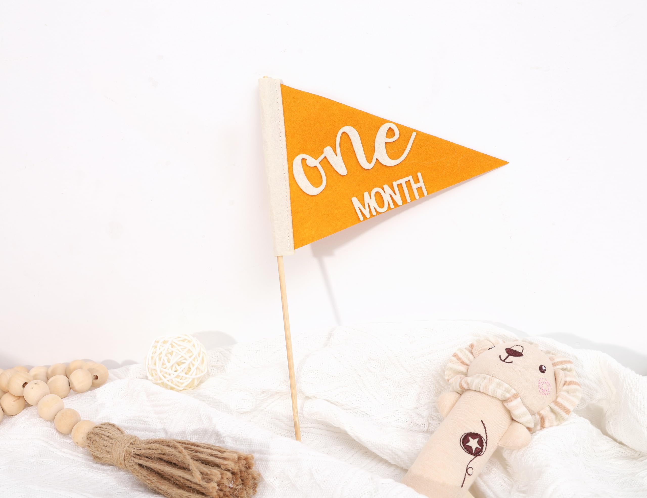 Kit 14 Galhardetes Mensais Baby - Feltro Para Fotos E Festas De Aniversário