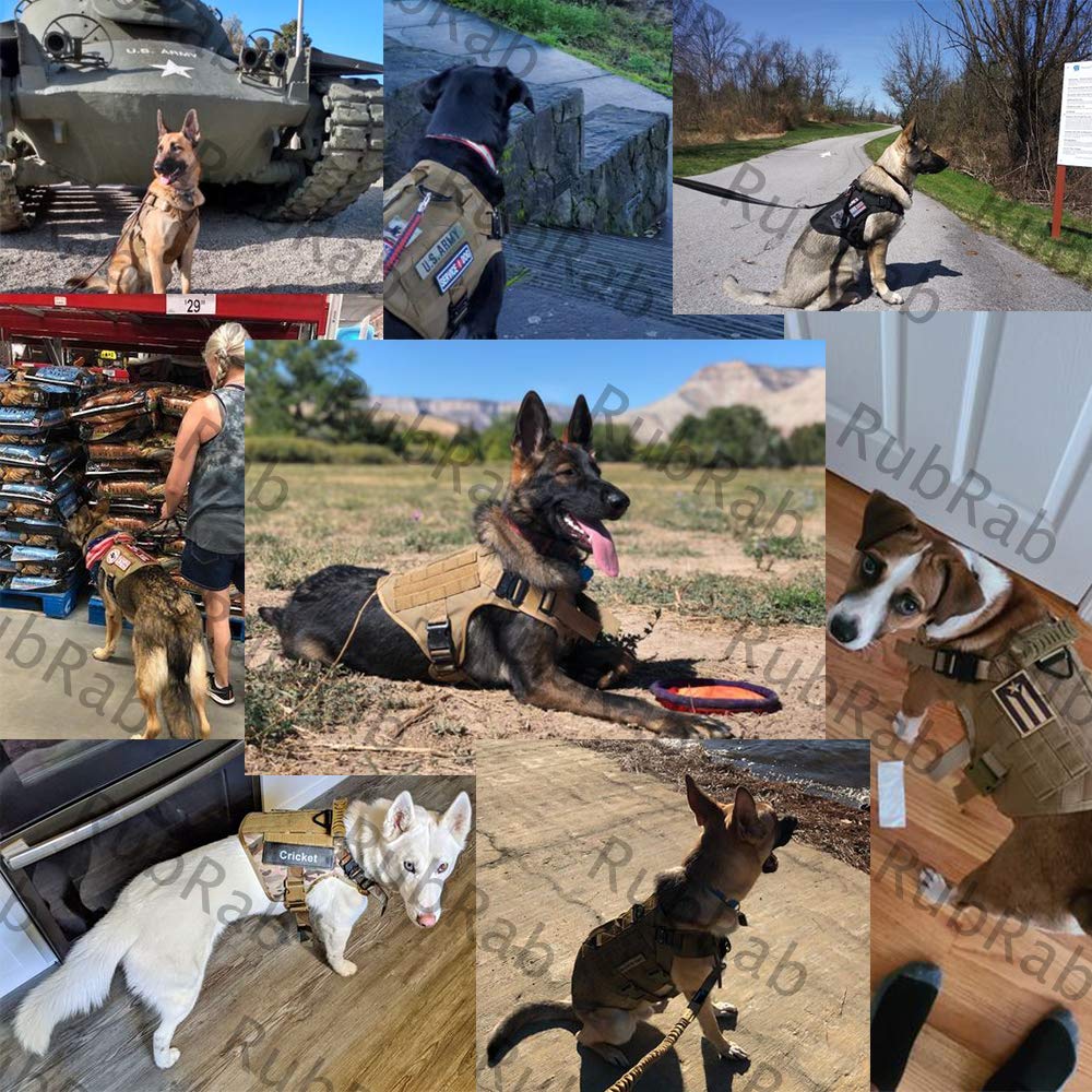 Pettorina tattico per cani con manico militare per addestramento di lavoro con fibbie in metallo e pannelli ad anello, guinzaglio per cani (M, verde imbracatura con guinzaglio)