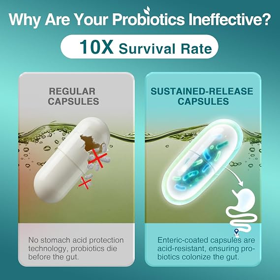 ZEBORA Probiotics for Women & Men, 120 Billion CFUs, 90 Veggie Capsules