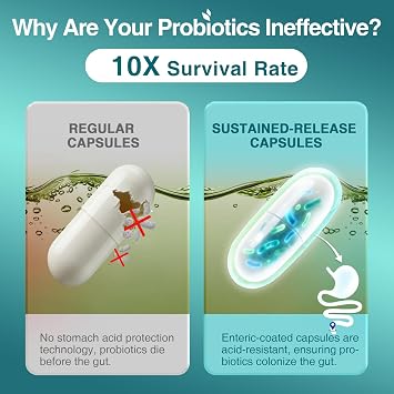 ZEBORA Probiotics for Women & Men, 120 Billion CFUs, 90 Veggie Capsules