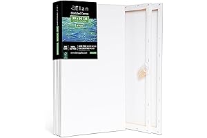 Elan Stretched Rectangle Canvas 12" x 24"
