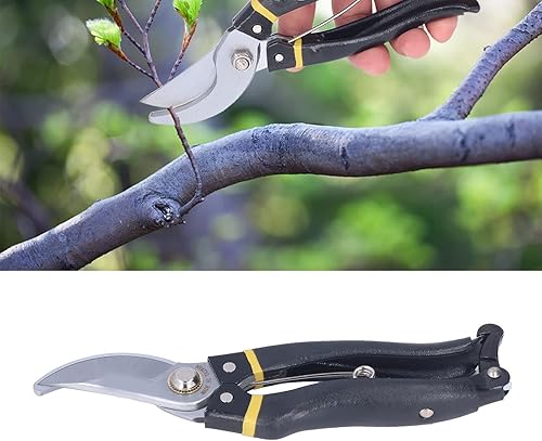 Miniatura 2 de Tijeras de jardín, podadoras de jardín Mango antideslizante de metal Premium de alta elasticidad ampliamente utilizado Alta nitidez para jardín para