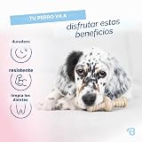 Ver la foto 3