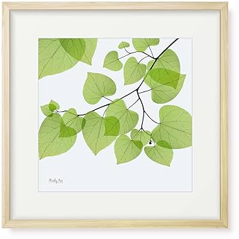 Amazon.co.jp: 絵画「葉のひろがり」インテリア 絵 花 アート