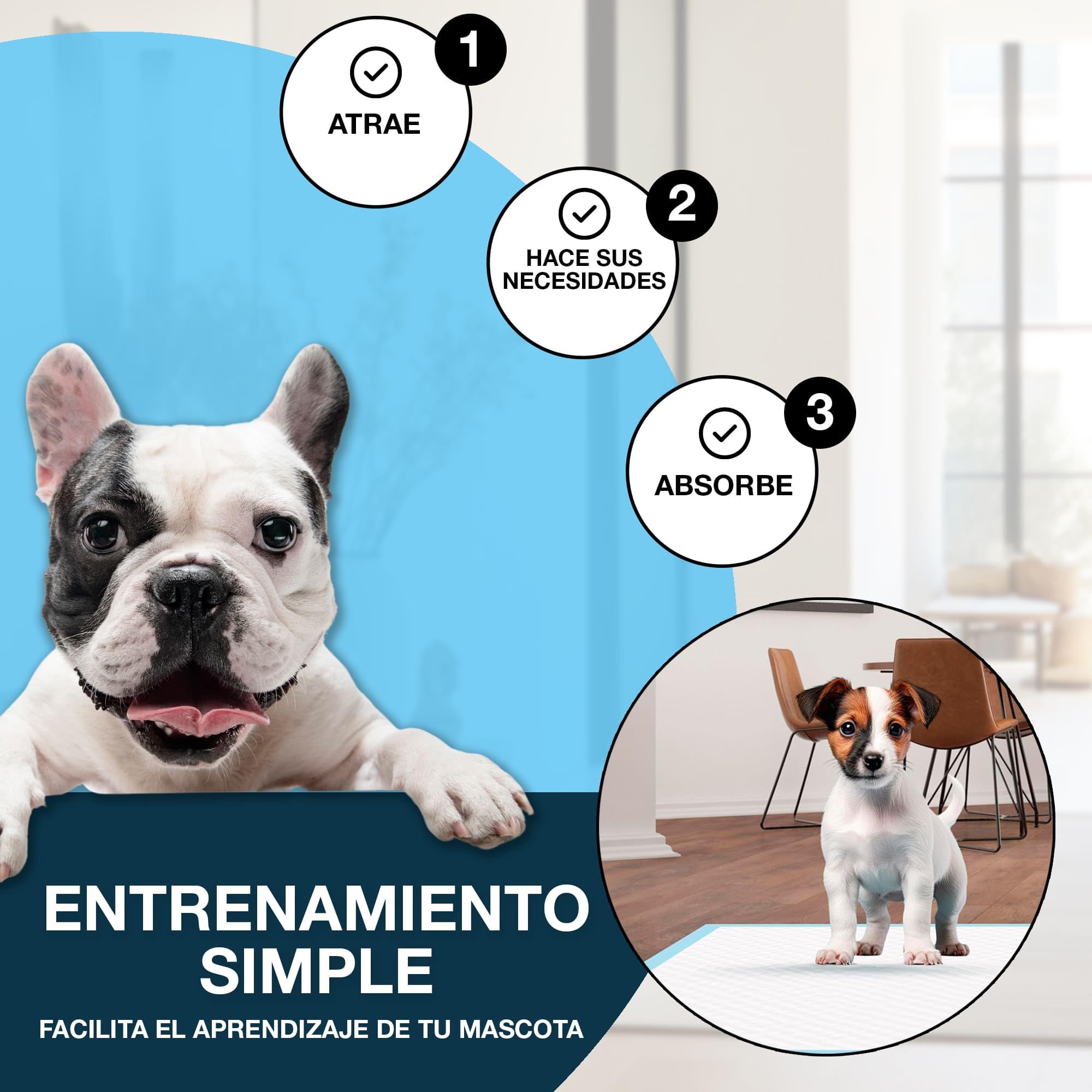 Empapadores Perros 60x60 cm CIVINZON 100 Unidades Ultra absobente de micciones, Alfombrillas Higienica Desechables para Mascotas, Resguardos para Cães, Resistente, Atrayente y a Prueba de Fugas