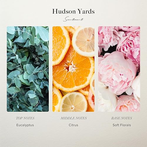 Miniatura 3 de Scentiment - Aceite difusor de hotel Hudson Yards  Fragancia de aromaterapia para el hogar  Inspirado en Equinox Hotel  Aroma lujoso con notas de