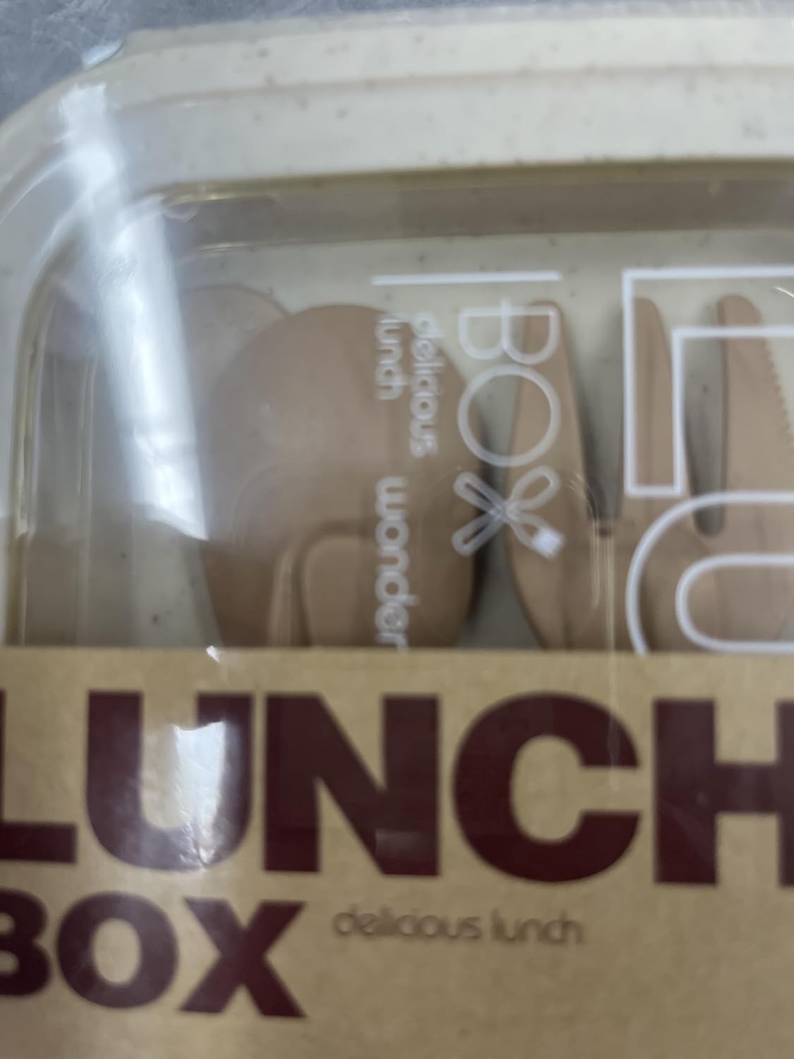 Cordless Electric Lunch Box