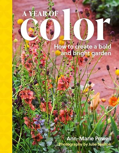 A Year of Color: How to create a bold and