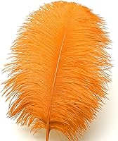 Vista 18 de 24 piezas de plumas de avestruz blanco natural de 10-12 pulgadas (25-30cm) para centros de mesa de bodas y fiestas, arreglos florales y decoración