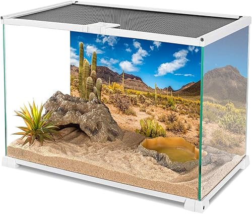 Miniatura 3 de AWERT Vinilo de 48 x 18 pulgadas para reptiles, fondo de hábitat de cielo azul, oasis de cactus y desierto
