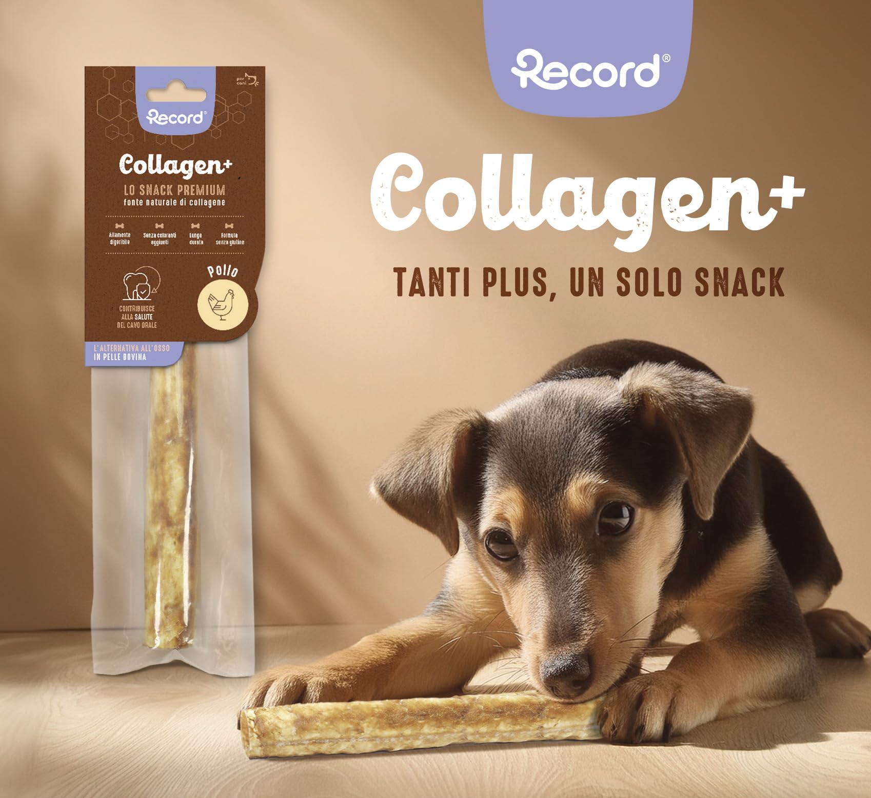 Snack Per Cani Cheese Bones Himalaya - 3 Ossi Di Formaggio Naturali, Taglia L, 90g L'uno - Foto 5