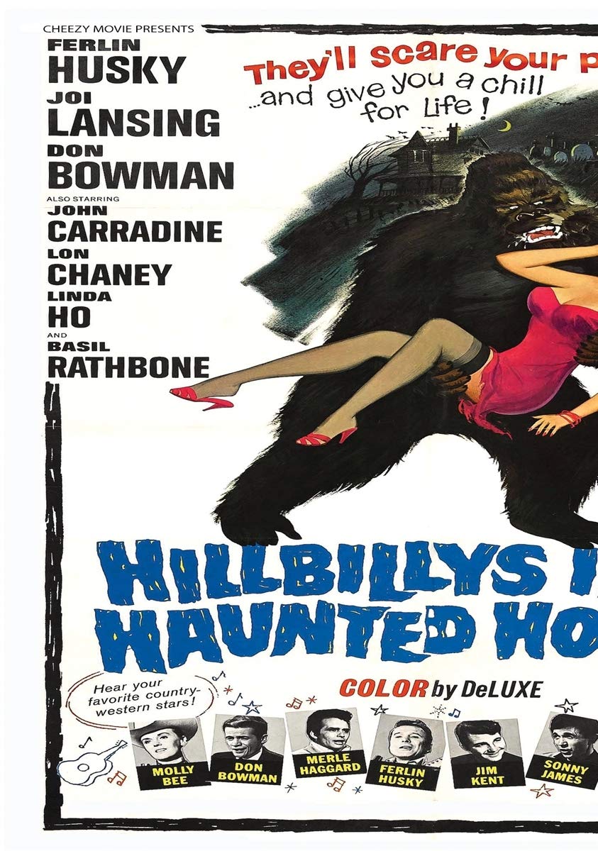 Hillbilly's In A Haunted House DVD original importado versión PAL para televisión
