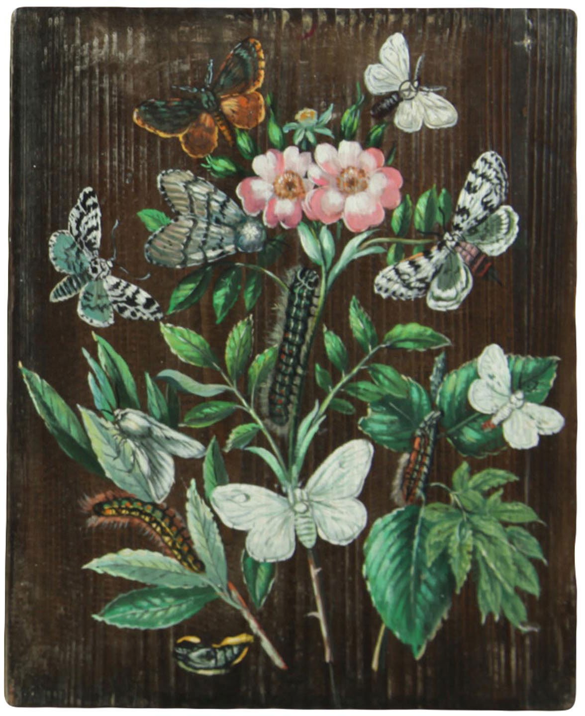 HomArt Metamorphosis Painting on Rustic Wood, White Butterflies, 111/2