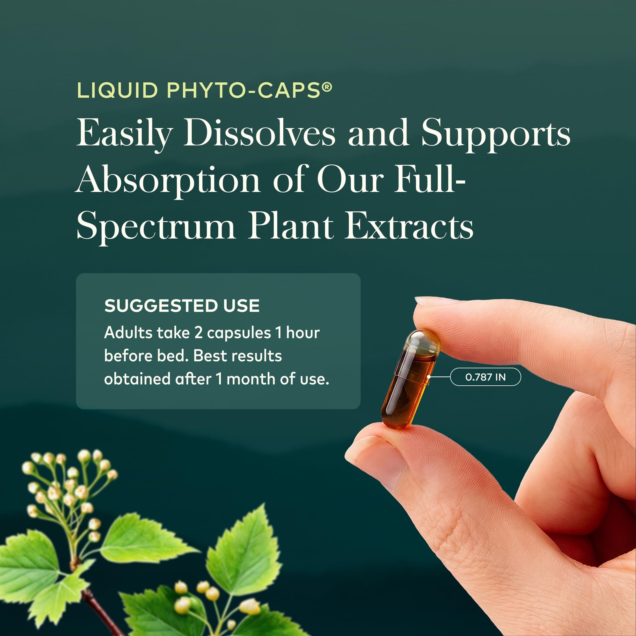 Gaia Herbs SleepThru, 60 Vegan Capsules, 30 Servings — Amazon image 6