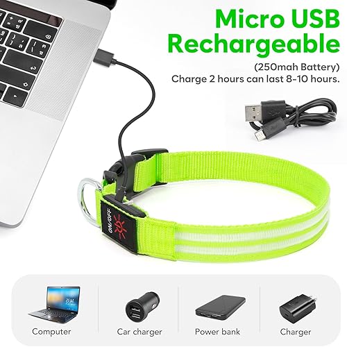 Miniatura 2 de Collares de perro con luces LED recargables, collares de perro que brillan en la oscuridad, para seguridad nocturna, collar de cachorro iluminado,