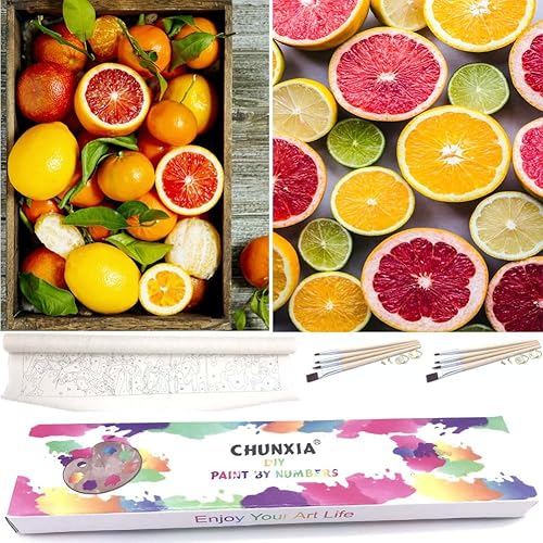 CHUNXIA Kit de pintura por números para adultos principiantes, paquete de 2 lienzos enrollados de pintura de pared por números, kit de pintura de