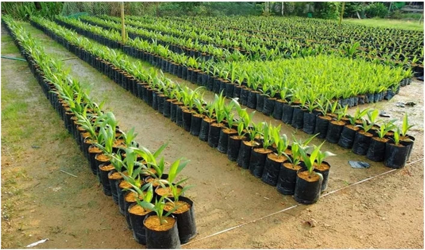 Plant Growth Bag Nursery Bags -100 PcsThicken Plant Grow Bags Seedling Pots Garden with Breathable Holes Black Planting Bags (Size : 25x30cm(DxH))