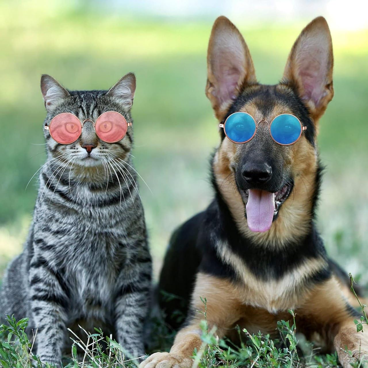 Pet Sunglass, Cat Goggles Glamorous Eye Protection Eye Wear Protection Waterproof Pet Sunglasses for Cats with Fashion Flair for All (Multicolour Pack of 1) 3