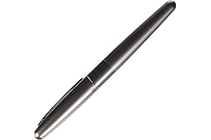 Pilot Cocoon Extra Fine Nib Titanium Fountain Pen