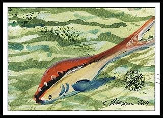 Our Little Fish Swimming in His Bowl 2014 : Nature Abstract ACEO Fine Art Print  - Compare price
