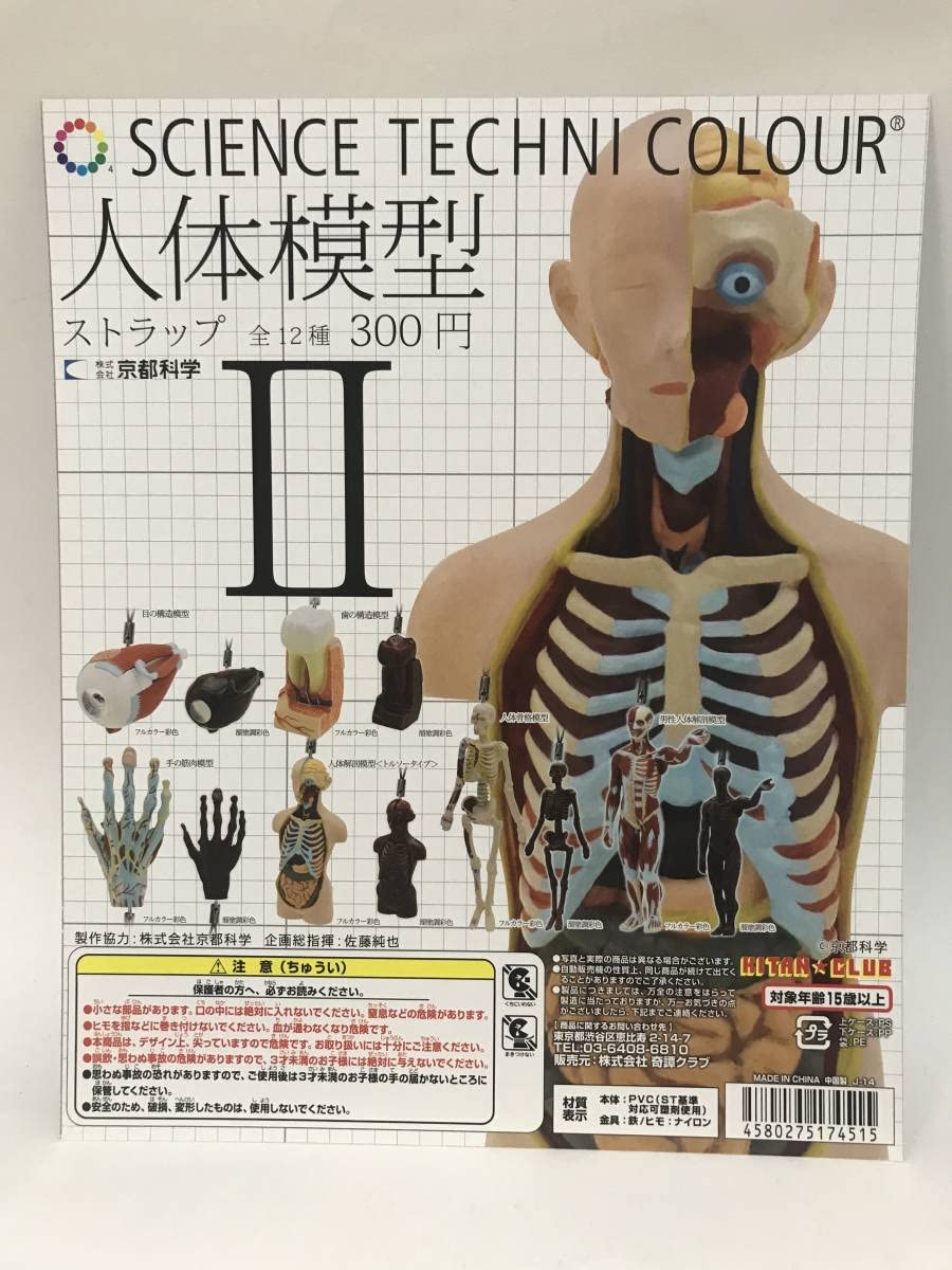 Amazon | サイエンステクニカラー 人体模型ストラップ キタンクラブ DP