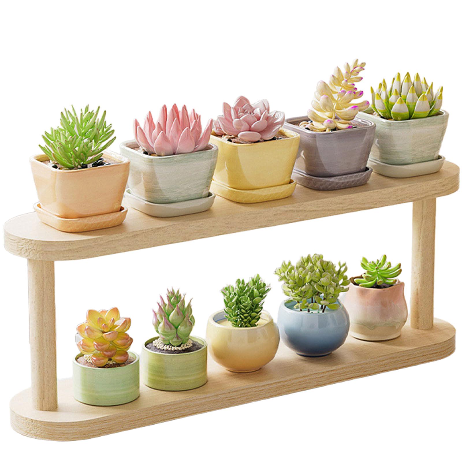 DECORN Small Plant Stand Shelf, Wood Long Desktop Flower Pot Holder Racks for for Succulents, Herbs, Air Plants, Countertop Organizer Display Stand Shelves,2 Tier 32.5cm/12.8" L