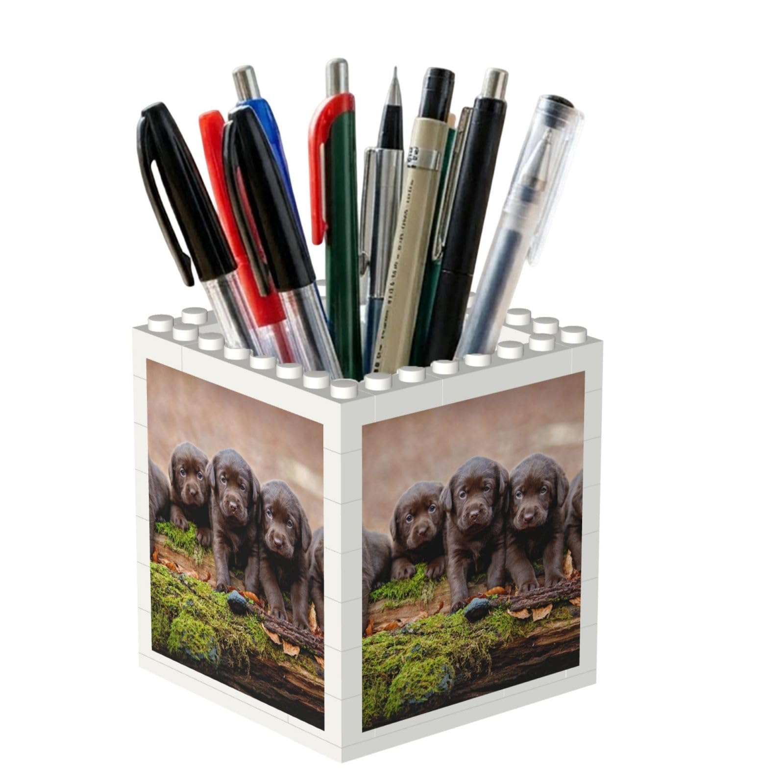 Poadnly Labrador Puppies Brown Little Puppies Family, Pen Pot Pencil Holder for Office Home School, Compact Desk Organiser for Office Stationery